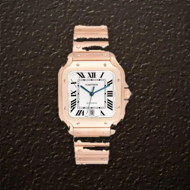 Cartier Santos de Cartier Large (Silver opaline Dial), reference WGSA0018, at Yousef Watch